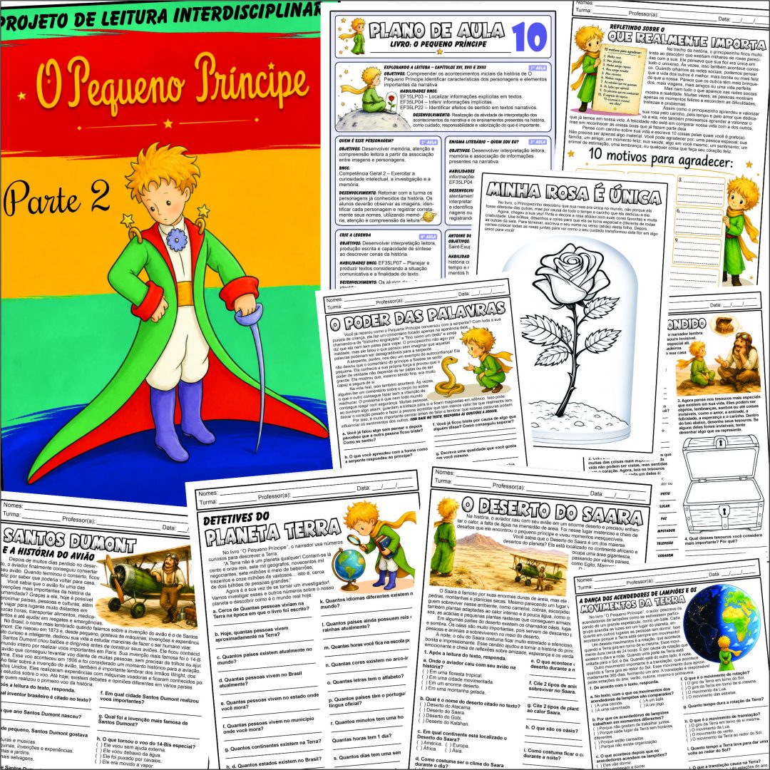 Projeto Pequeno Príncipe - Parte 2