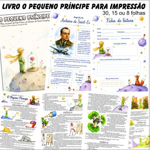 Todas as páginasPEQUENO PRINCIPE-1